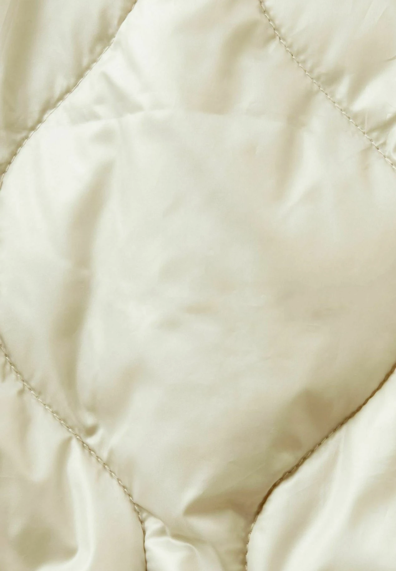 ESPRIT Stepp - Bodywarmer - Dusty Green 7 ESPRIT Stepp - Bodywarmer - Dusty Green - Afbeelding 7